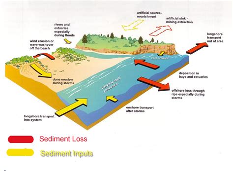 The Environmental Impacts of Mining Mafic Sand